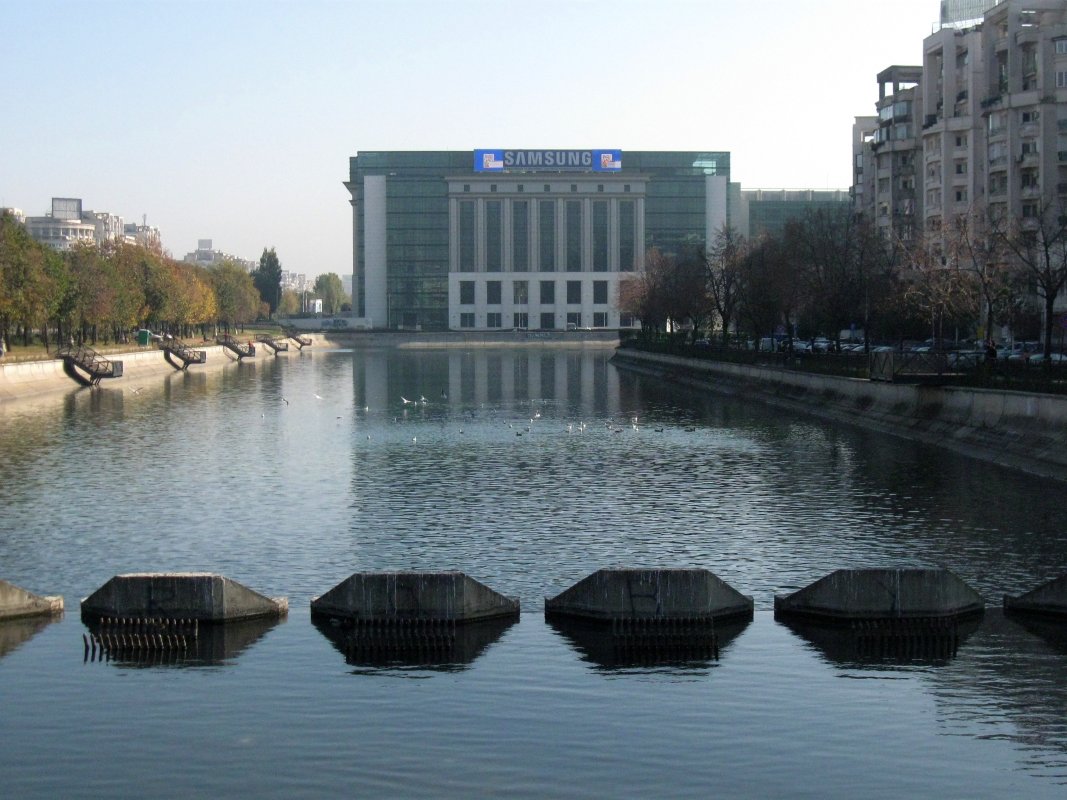 foto: Marko Miletić