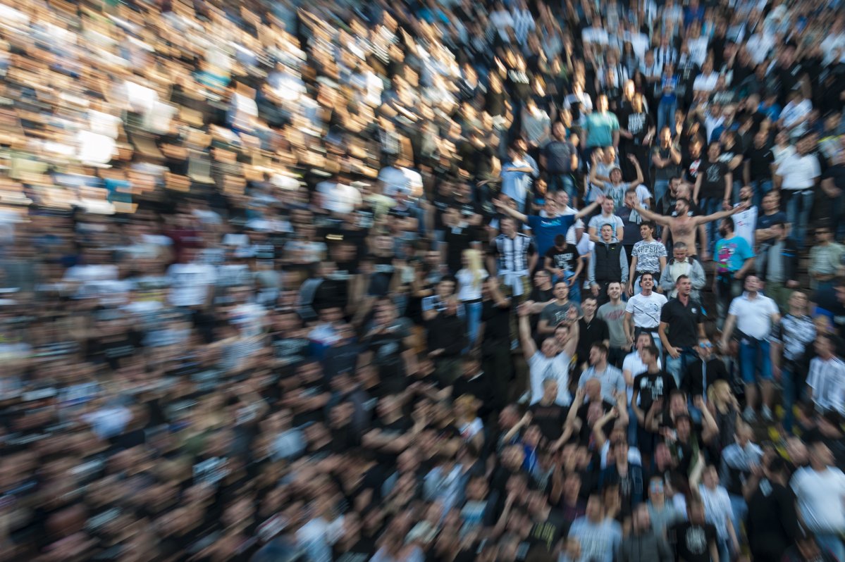 foto: Nemanja Pančić / Kamerades