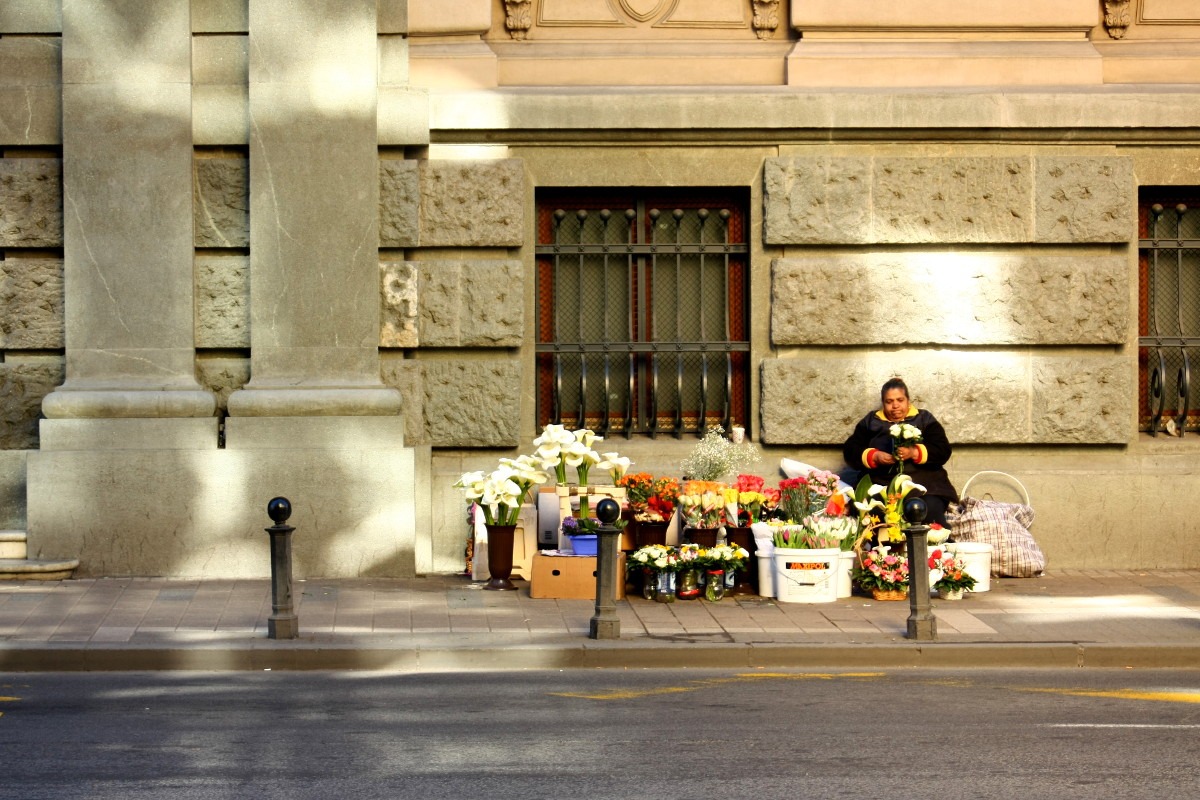 Foto: Marko Miletić