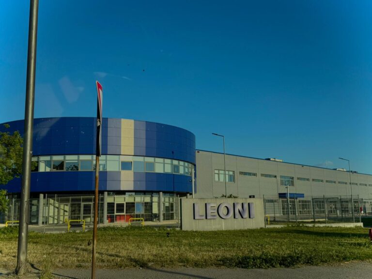 Leoni